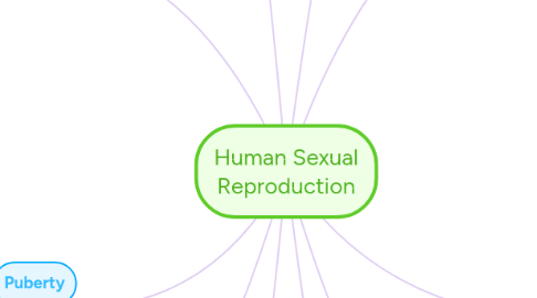 Mind Map: Human Sexual Reproduction