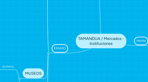 Mind Map: TAMANDUA / Mercados - Instituciones