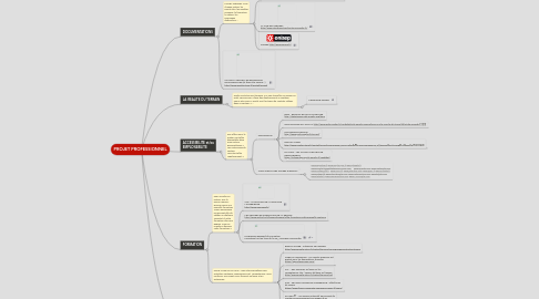 Mind Map: PROJET PROFESSIONNEL