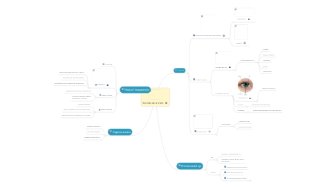 Mind Map: Sentido de la Vista