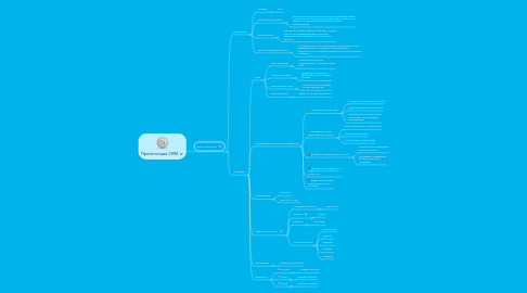 Mind Map: Презентация CRM