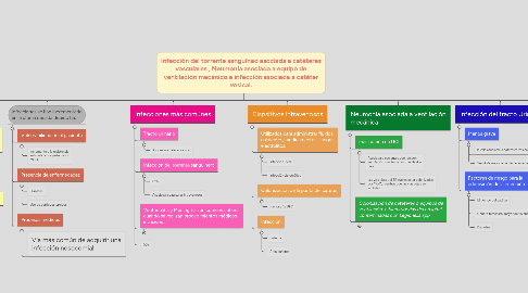 Mind Map: Infección del torrente sanguíneo asociada a catéteres vasculares , Neumonía asociada a equipo de ventilación mecánico e infección asociada a catéter vesical.