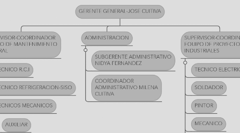 Mind Map: GERENTE GENERAL-JOSE CUITIVA