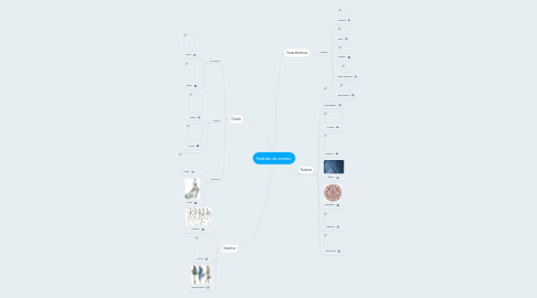 Mind Map: Vestido de verano.