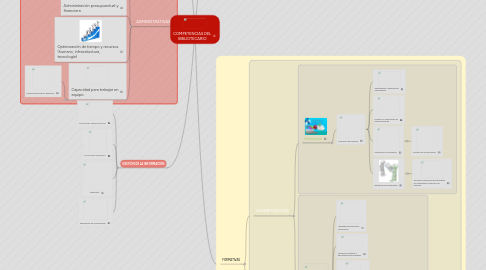 Mind Map: COMPETENCIAS DEL BIBLIOTECARIO