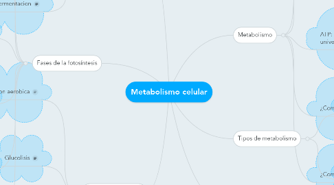 Mind Map: Metabolismo celular