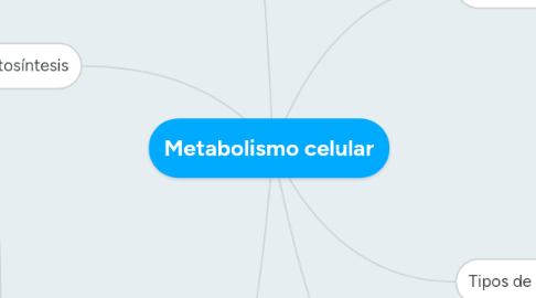 Mind Map: Metabolismo celular