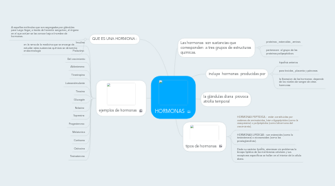 Mind Map: HORMONAS