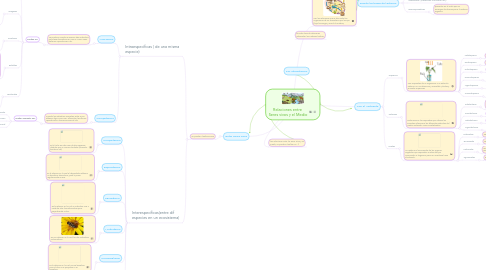 Mind Map: Relaciones entre Seres vivos y el Medio