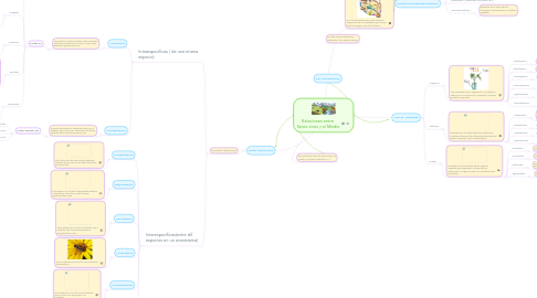 Mind Map: Relaciones entre  Seres vivos y el Medio