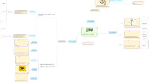 Mind Map: Relaciones entre Seres vivos y el Medio
