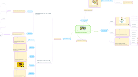 Mind Map: Relaciones entre  Seres vivos y el Medio