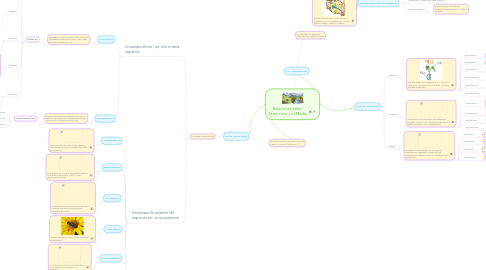 Mind Map: Relaciones entre Seres vivos y el Medio