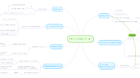 Mind Map: CICLO OVARICO