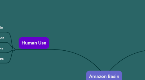 Mind Map: Amazon Basin