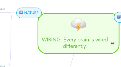 Mind Map: WIRING: Every brain is wired differently.