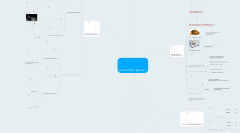 Mind Map: ENCEFALOPATIA HEPATICA