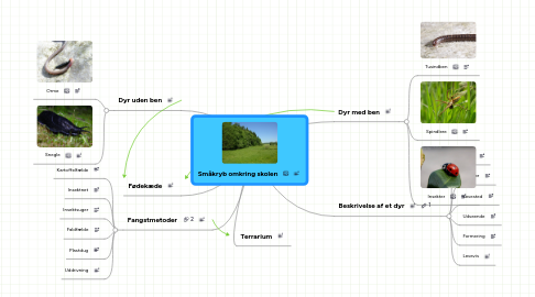 Mind Map: Småkryb omkring skolen