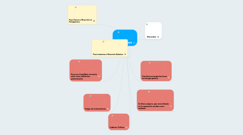 Mind Map: La Fotosíntesis