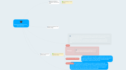 Mind Map: Agresiones biologicas en los bebés por nacer