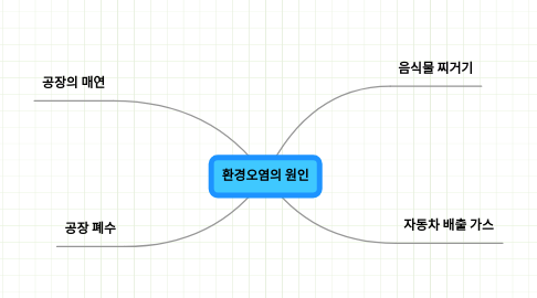 Mind Map: 환경오염의 원인