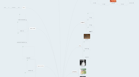 Mind Map: Soil