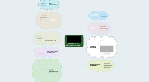 Mind Map: PRINCIPIOS DE LA EVALUACIÓN AUTÉNTICA