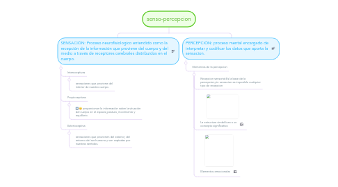 Mind Map: senso-percepcion