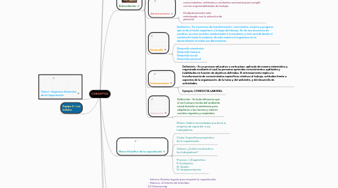 Mind Map: CONCEPTOS