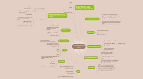 Mind Map: HAZTE CARGO DE TU SALUD.