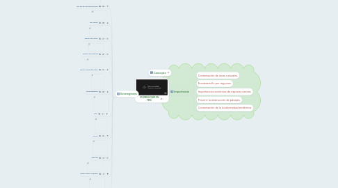 Mind Map: ECORREGIONES EN PERÚ