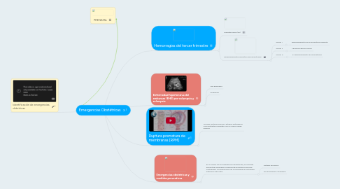 Mind Map: Emergencias Obstétricas