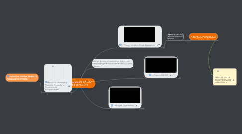 Mind Map: SERVICIOS DE SALUD Y PREVENCION