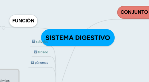 Mind Map: SISTEMA DIGESTIVO