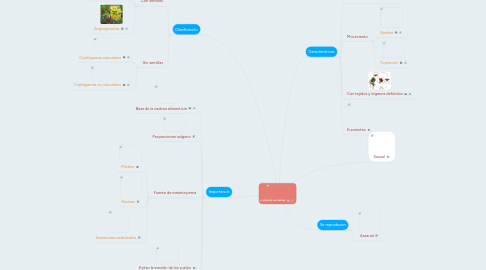 Mind Map: EL REINO DE LAS PLANTAS