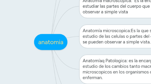 Mind Map: anatomia