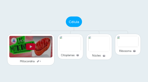 Mind Map: Célula