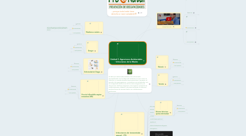 Mind Map: Unidad 2: Agresiones Ambientales - Infecciones de la Madre