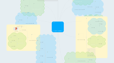 Mind Map: EL CUERPO HUMANO