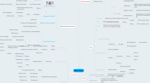 Mind Map: Marcha Humana