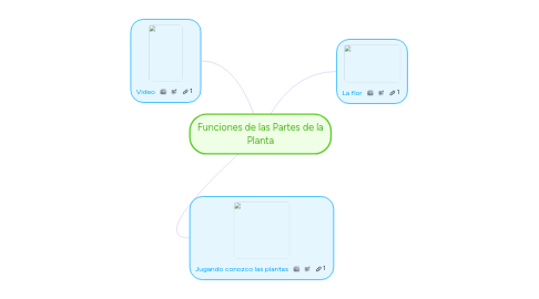 Mind Map: Funciones de las Partes de la Planta
