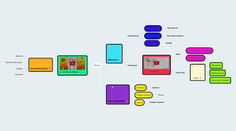 Mind Map: EL SISTEMA RENAL