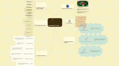 Mind Map: ORGANIZADOR VISUAL