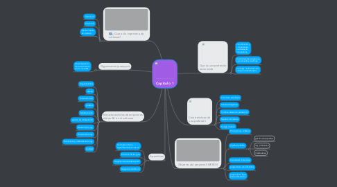 Mind Map: Capitulo 1