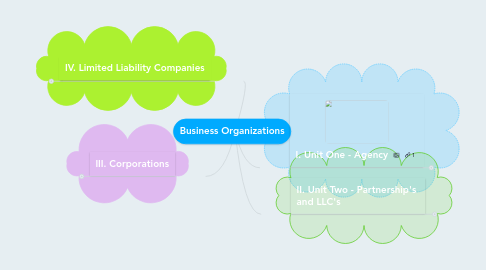 Mind Map: Business Organizations