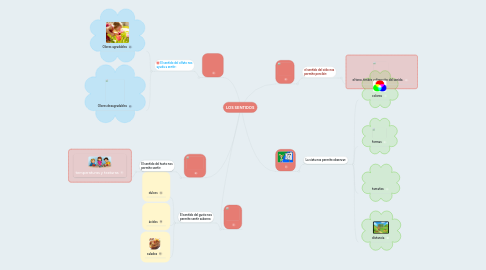 Mind Map: LOS SENTIDOS