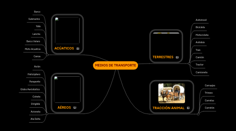 Mind Map: MEDIOS DE TRANSPORTE