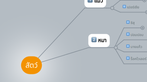 Mind Map: สัตว์