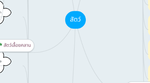 Mind Map: สัตว์