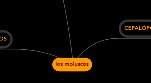 Mind Map: los moluscos